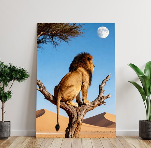 Divertente leone - ✅,