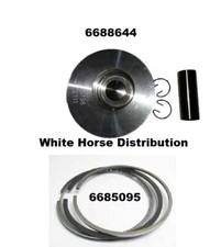 Pistone e anelli STD adatto