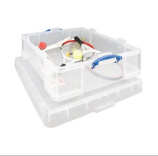 Scatola Portaoggetti Davvero