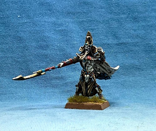 Warhammer fantasy wgs dipinto - warhammer,
