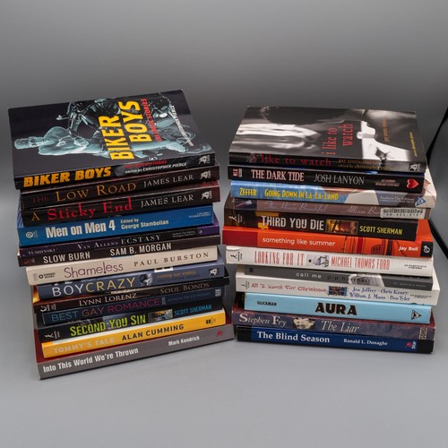 Gay novels erotica - novels,