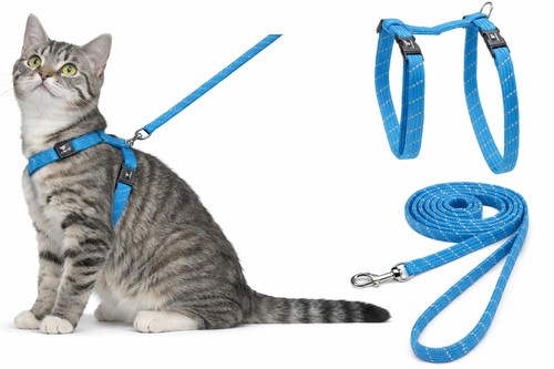 Pettorina gatto elza - gatto,
