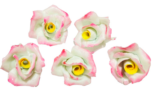 Rosa porcellana - (10,