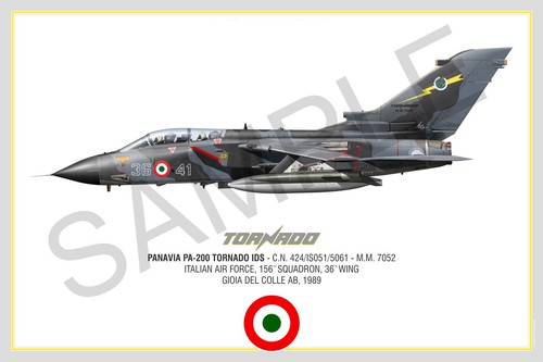 Panavia tornado squadron - tornado,