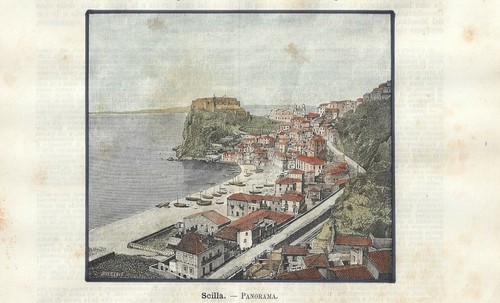 Stampa antica scilla - antica, veduta