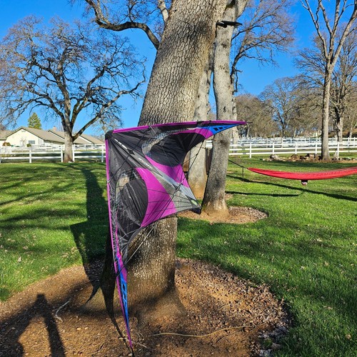Prism quantum solo kite - prism,