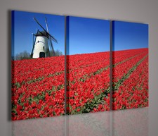 QUADRI MODERNI OLANDA AMSTERDAM QUADRO MODERNO PAPAVERI ARREDARAMENTO CASA TELE 