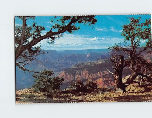 Cartolina grand canyon parco - grand,