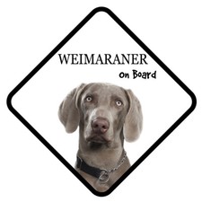 WEIMARANER Dog On Board Car