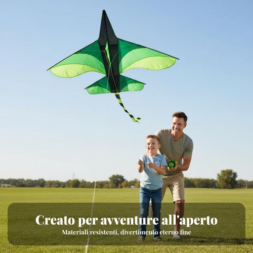 Aquilone triangolare cartoon