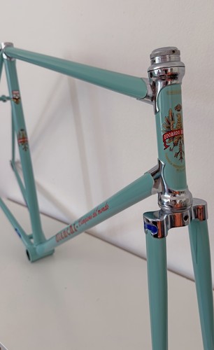 Telaio bianchi campione del - bianchi,
