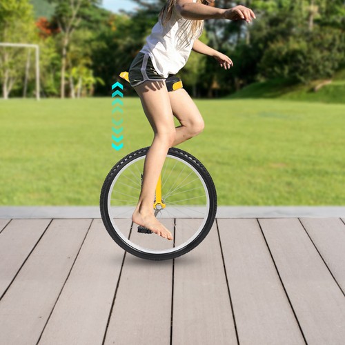 Inch unicycle for fitness - 24-inch,