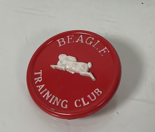 Cane caccia coniglio beagle - da,
