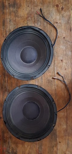 Coppia altoparlanti woofer - coppia,