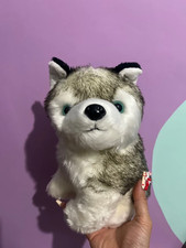 Peluche pupazzo cane Siberian