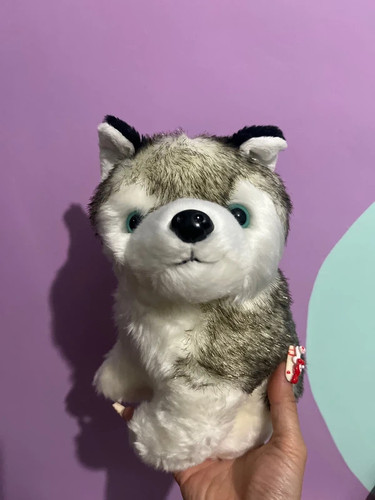 Peluche pupazzo cane siberian - peluche,