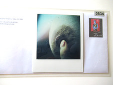 z) N. ARAKI: FOTO POLAROID