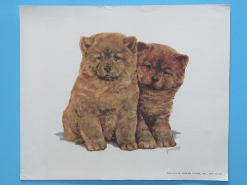 Stampa cane vintage originale