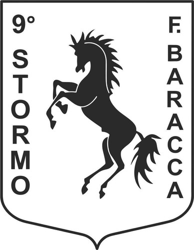 Stickers adesivo stormo - stickers,