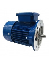 Motore trifase 11Kw 15CV