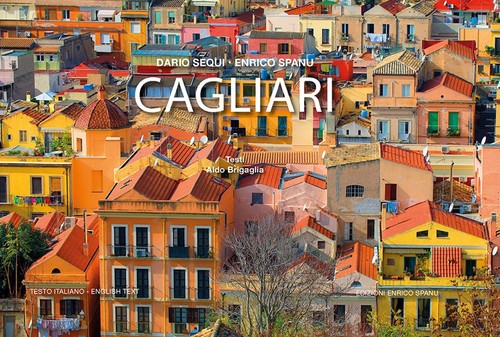 Libri aldo brigaglia - aldo,