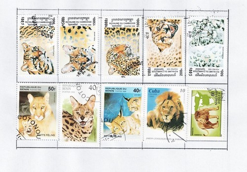 Serie lotto collezione - serie,
