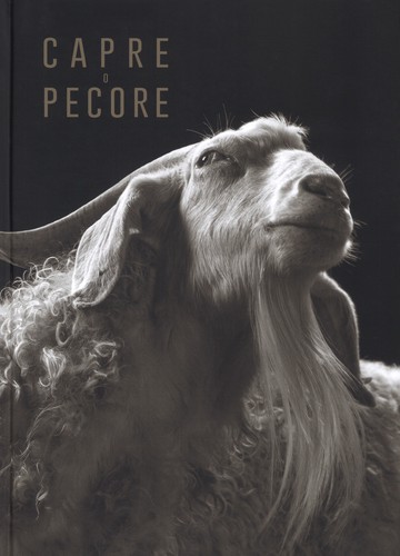 Capre pecore ediz - capre,