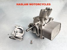 pompa acqua triumph tiger