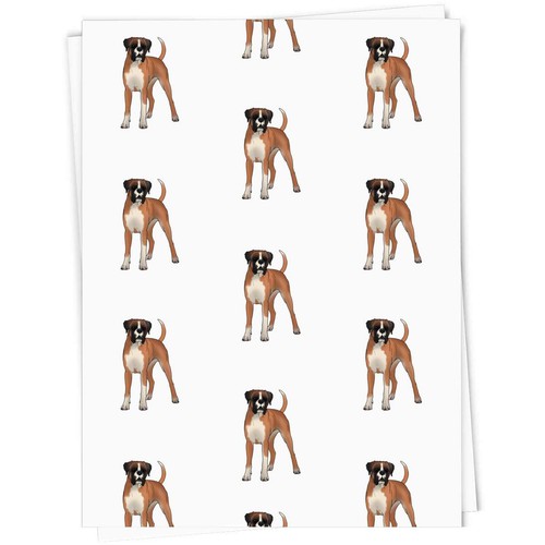 Standing boxer dog - 'standing,