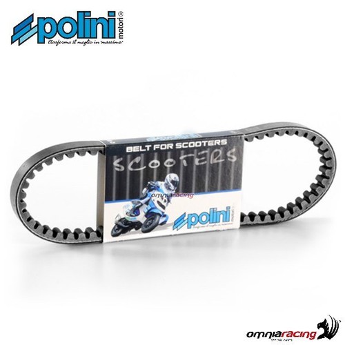 Polini original variator belt