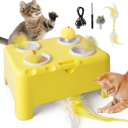 Gioco interattivo per - interattivo, gatti