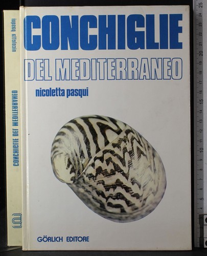 Conchiglie del mediterraneo - del,