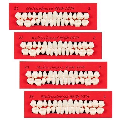 Set denti finti resina - 4,