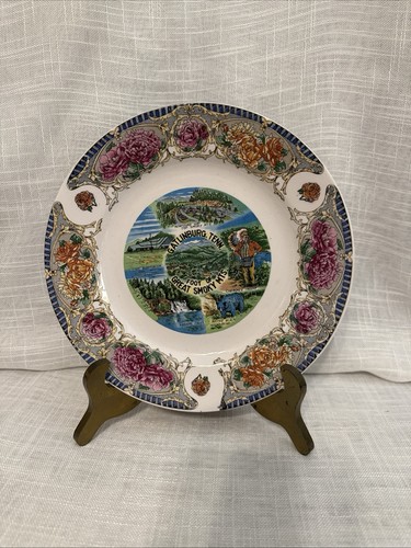Piatto ricordo vintage great - ricordo,