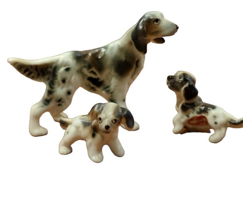 Setter cane inglese vintage
