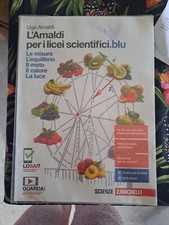 Amaldi per i licei - l',