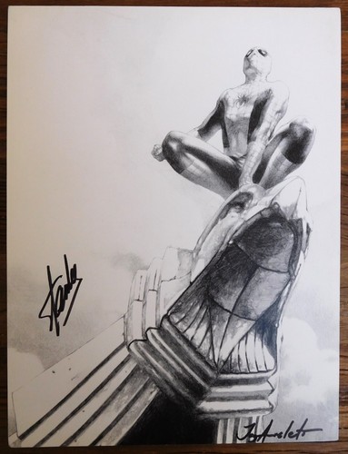 Amazing spider man print - amazing,