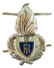 FREGI POLIZIA PENITENZIARI 2