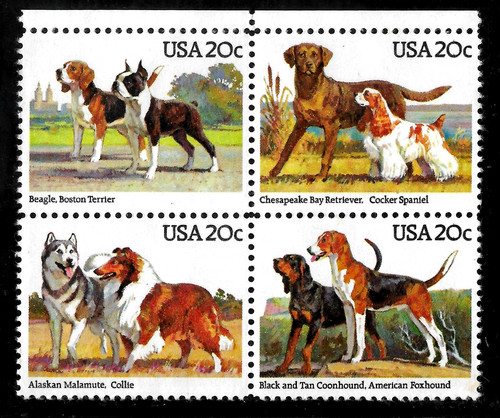 Cani 1984 2098 2101 - cani, beagle