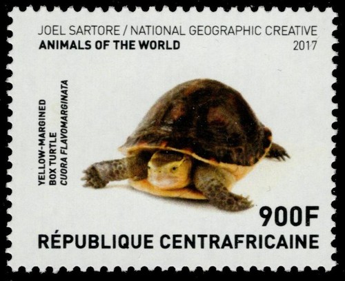Central african republic 7382 - african,