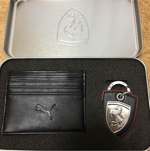 Custodia chiave puma - chiave,