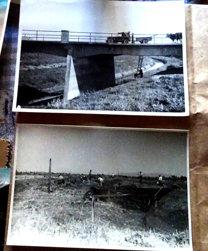 Foto bonifica littoria - 2, di