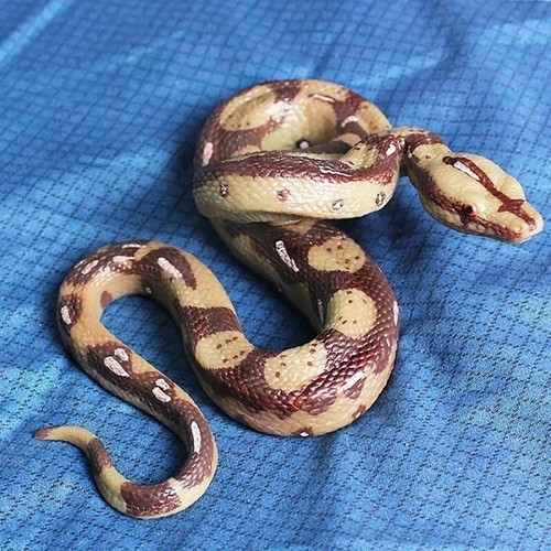 Serpente gomma grande - di,