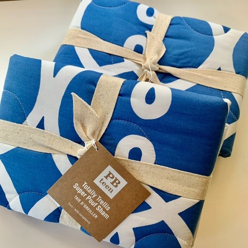 Pottery barn teen - pottery,
