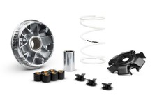 VARIATORE MALOSSI MULTIVAR