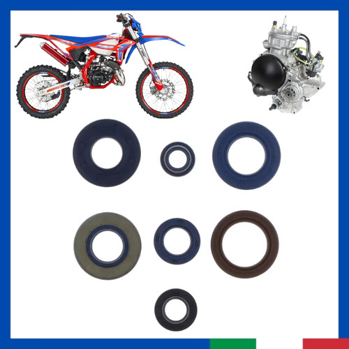 Kit paraolio revisione - kit, motore