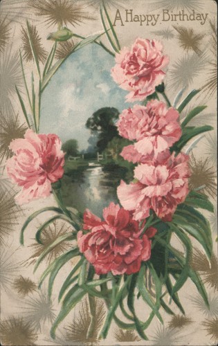 Buon compleanno garofani rosa - buon,