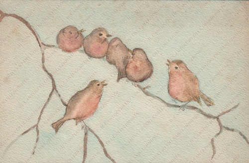 Pettirossi uccelli cartolina - uccelli,