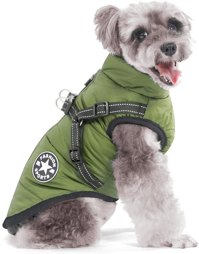 Cappotto cane invernale - cane,