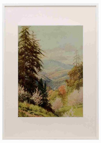 Palmer harold sutton 1854 - palmer,